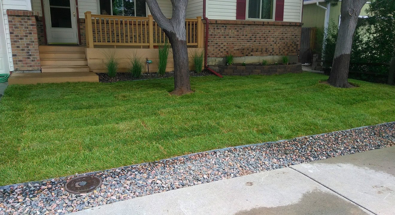 Our Work