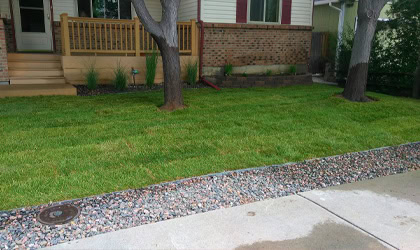 Our Work